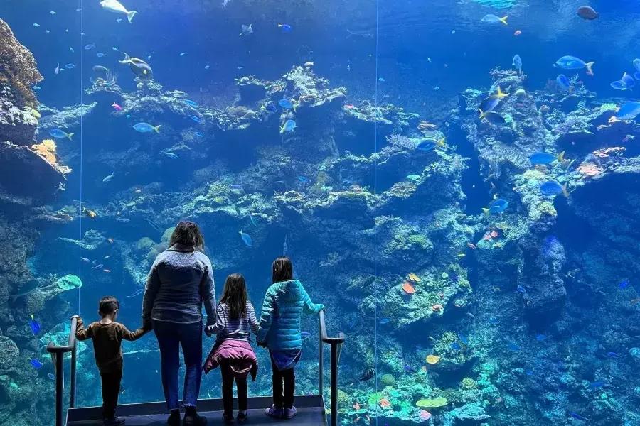 Famille avec Aquarium près de la Baie