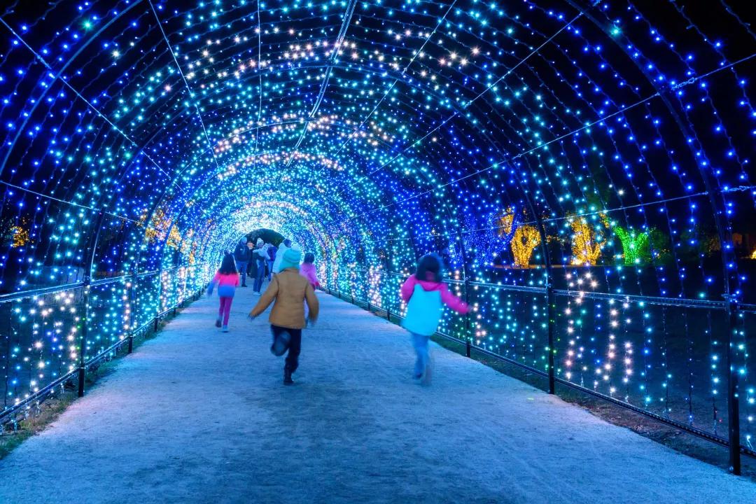 Children run in a tunnel of Christmas lights that shine blue