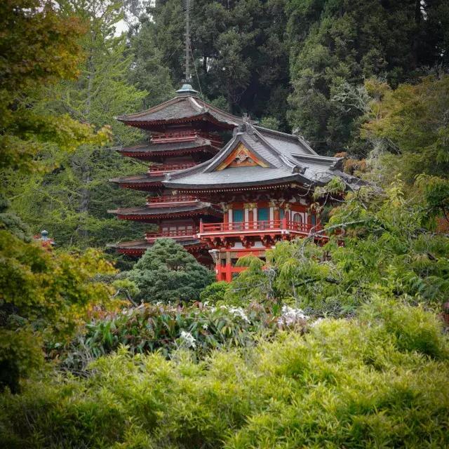 Jardín de té japonés