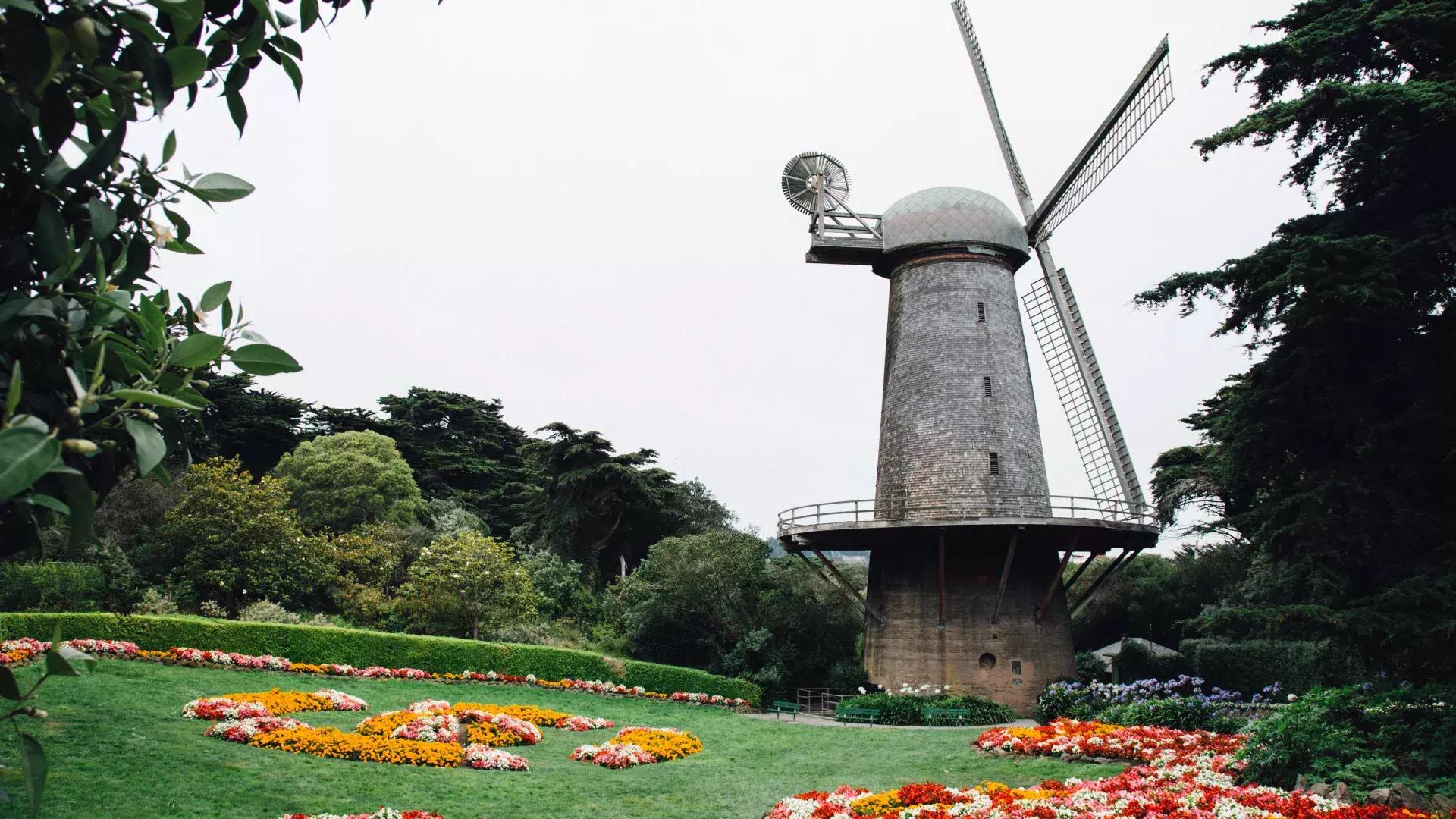 金门公园的荷兰风车