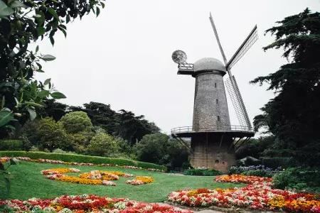 Dutch Windmill in Golden Gate Park