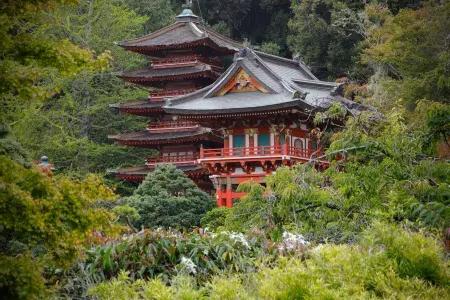日本Teegarten